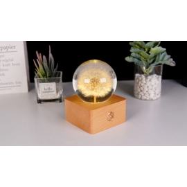 Dandelion specimen dry flower rechargeable night lamp